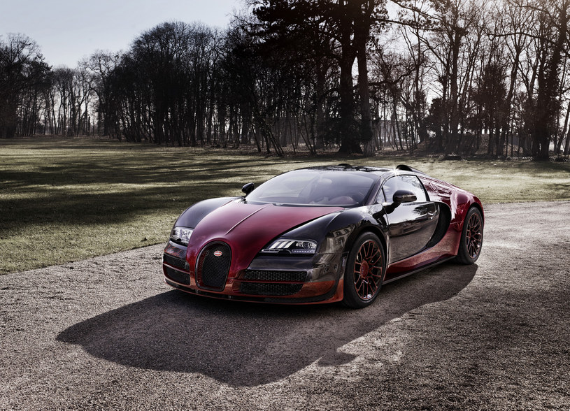 Bugatti Veyron La Finale /Bugatti