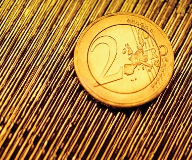 Bujak: Euro dla Polski w najbliższych 5-10 latach nie jest optymalnym wyborem