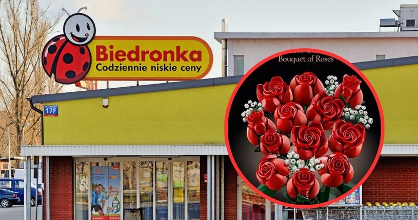 Bukiet róż LEGO na olbrzymiej promocji w Biedronce! /Canva /INTERIA.PL