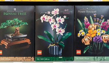 Bukiety LEGO 50% taniej! Tej promocji nie da się przebić!