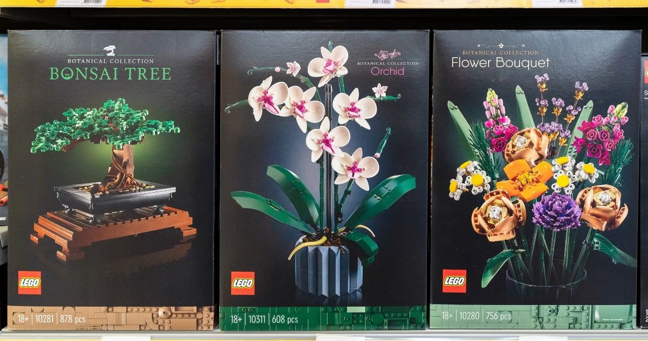 Bukiety LEGO na promocji w Auchan! /adobestock /INTERIA.PL