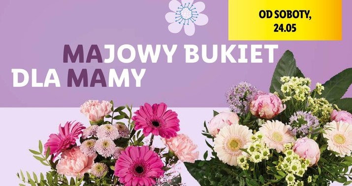 Bukiety na Dzień mamy w Lidlu /Lidl /INTERIA.PL