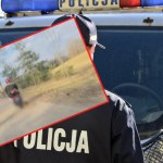 Bulwersujące zachowanie 72-latka. Ciągnął psa na sznurku, zwierzę nie przeżyło 