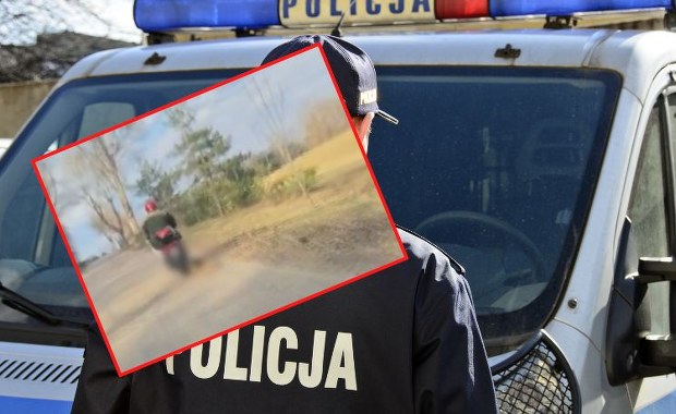 Bulwersujące zachowanie 72-latka. Ciągnął psa na sznurku, zwierzę nie przeżyło 