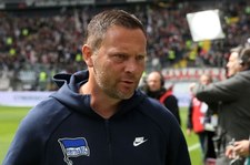 Bundesliga. Pal Dardai może zostać nowym trenerem Herthy Berlin
