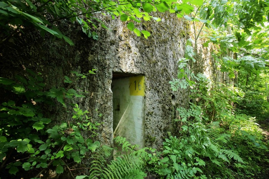 Bunkier w kompleksie niemieckich bunkrów z okresu II wojny światowej, dawnej Kwaterze Głównej Niemieckich Wojsk Lądowych. / 	Tomasz Waszczuk    /PAP
