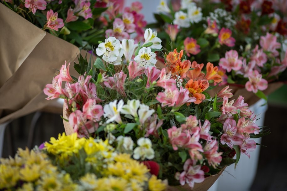 Burmistrz Wąsosza wydał ponad 75 tys. w kwiaciarni /Shutterstock