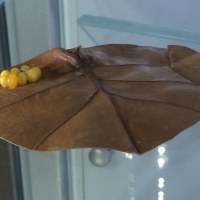 Liść-jajeczka. Fragment etiudy "Przemiana" autorstwa Joanny Kilanowicz-Bosek, inspirowanej cyklem rozwojowym motyla. Wypożyczone z Muzeum Sztuki Złotniczej w Kazimierzu Dolnym