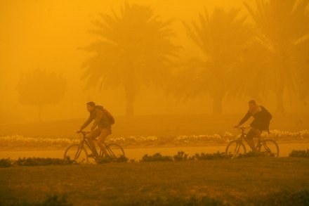 Burza piaskowa spowodowała, że trzeba było odwołać testy na torze w Bahrainie /AFP
