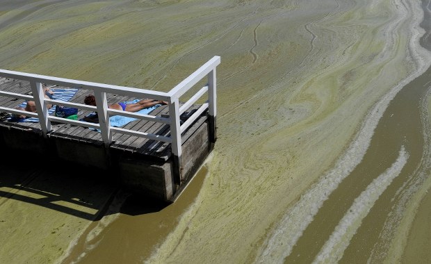 Burza poskromiła sinice. Sytuacja na Pomorzu najlepsza od wielu dni