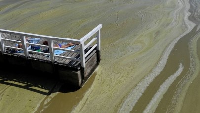 Burza poskromiła sinice. Sytuacja na Pomorzu najlepsza od wielu dni