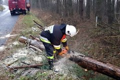 Burza śnieżna na Podkarpaciu. Strażacy usuwają skutki