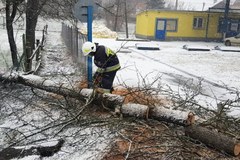 Burza śnieżna na Podkarpaciu. Strażacy usuwają skutki