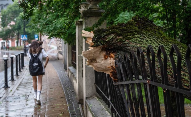 Burze i grad w regionie. IMGW ostrzega przed niebezpiecznymi zjawiskami