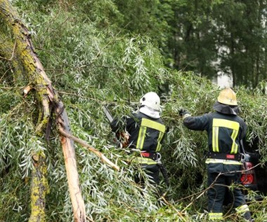 Burze na Podkarpaciu. Połamane drzewa, uszkodzone auta