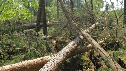 Burze przeszły nad Polską. Ponad 200 interwencji strażaków
