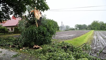 Burze, silny wiatr, grad. Alert IMGW dla siedmiu województw