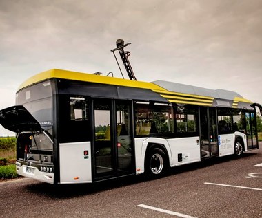 "Bus of the Year" dla Solarisa!