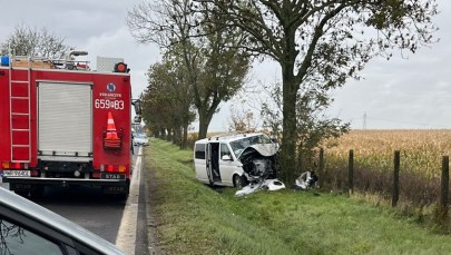 Bus przewożący dzieci uderzył w drzewo. Są ciężko ranni