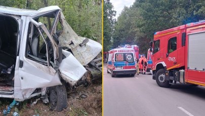 Bus z 9 pasażerami uderzył w drzewo. Kierował 19-latek bez prawa jazdy