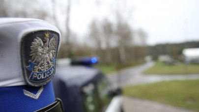 Bus zderzył się z jeleniem. Kierowca "pod wpływem" wiózł 8 pasażerów