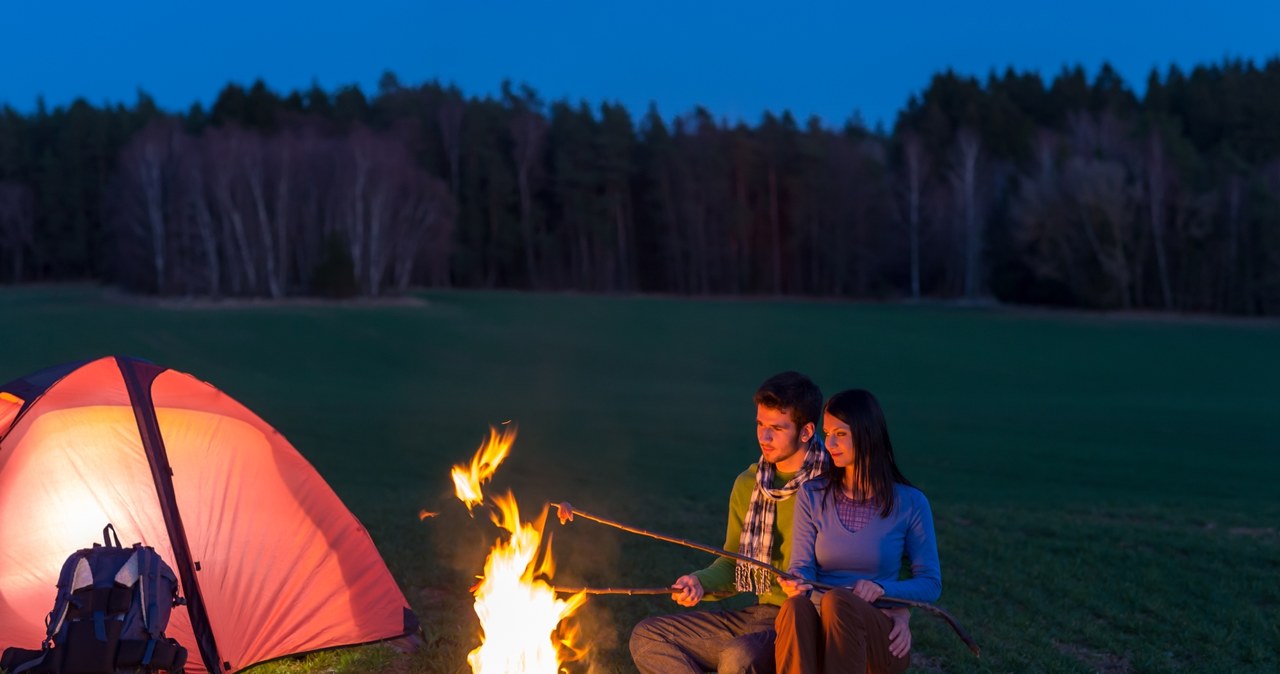 Bushcraft to umiejętność przetrwania w lesie, ale także na dbałości o przyrodę /123RF/PICSEL