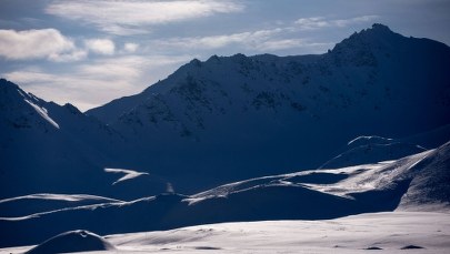 Butelka piwa za... 18 tysięcy złotych 