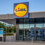 Butelka wina za mniej niż 2 zł? Lidl tłumaczy się z wrześniowej promocji