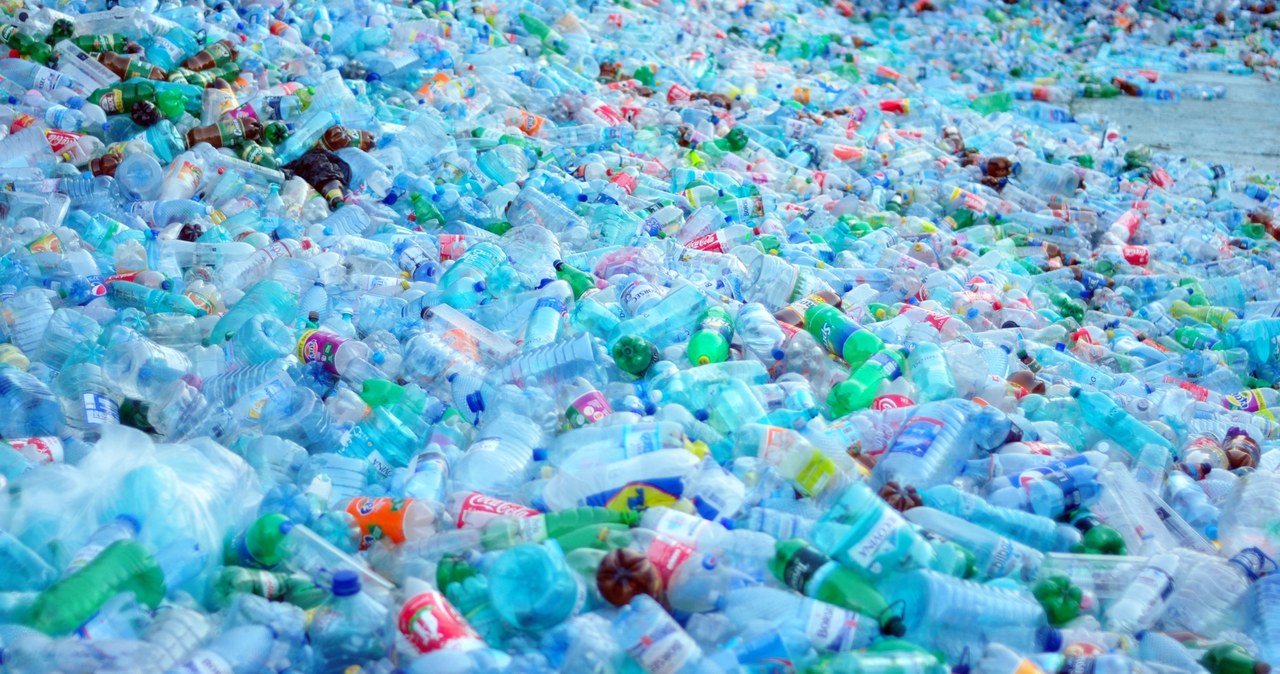 Butelki plastikowe można poddać recyklingowi i wykorzystać ponownie /123RF/PICSEL