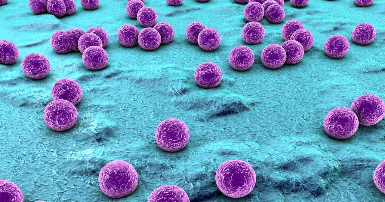 Być może już wkrótce będziemy w stanie zwalczać najbardziej oporne na antybiotyki bakterie /123RF/PICSEL