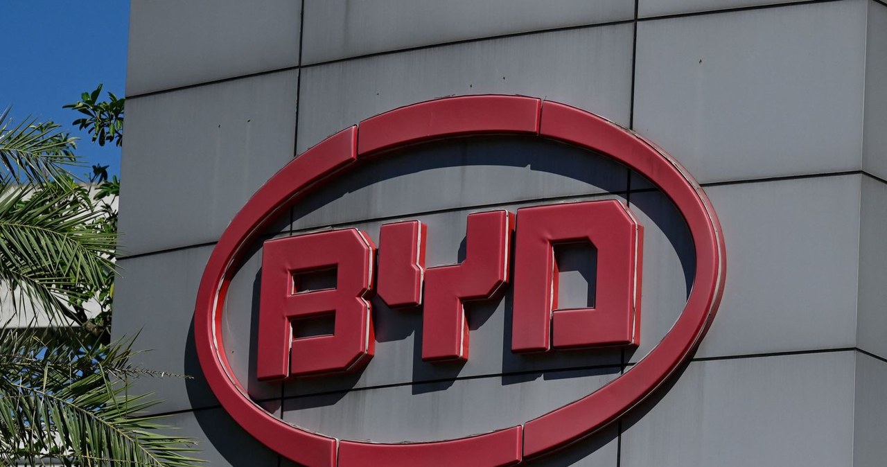 BYD chiński producent myśli o niemieckim rynku /AFP