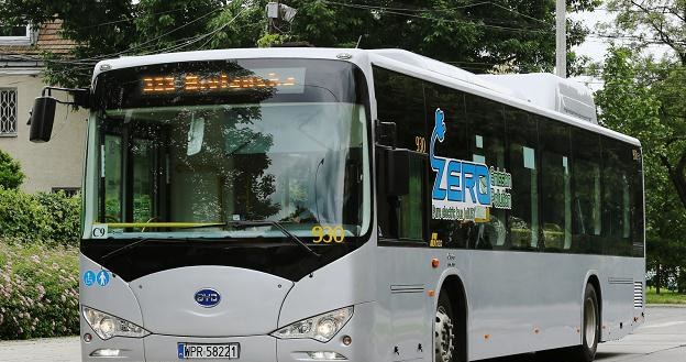 BYD K9 na testach w Warszawie /PAP