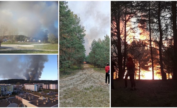 Bydgoszcz: Groźny pożar lasu opanowany