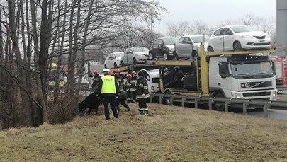 Byki biegały po krajowej "jedynce" w Tychach