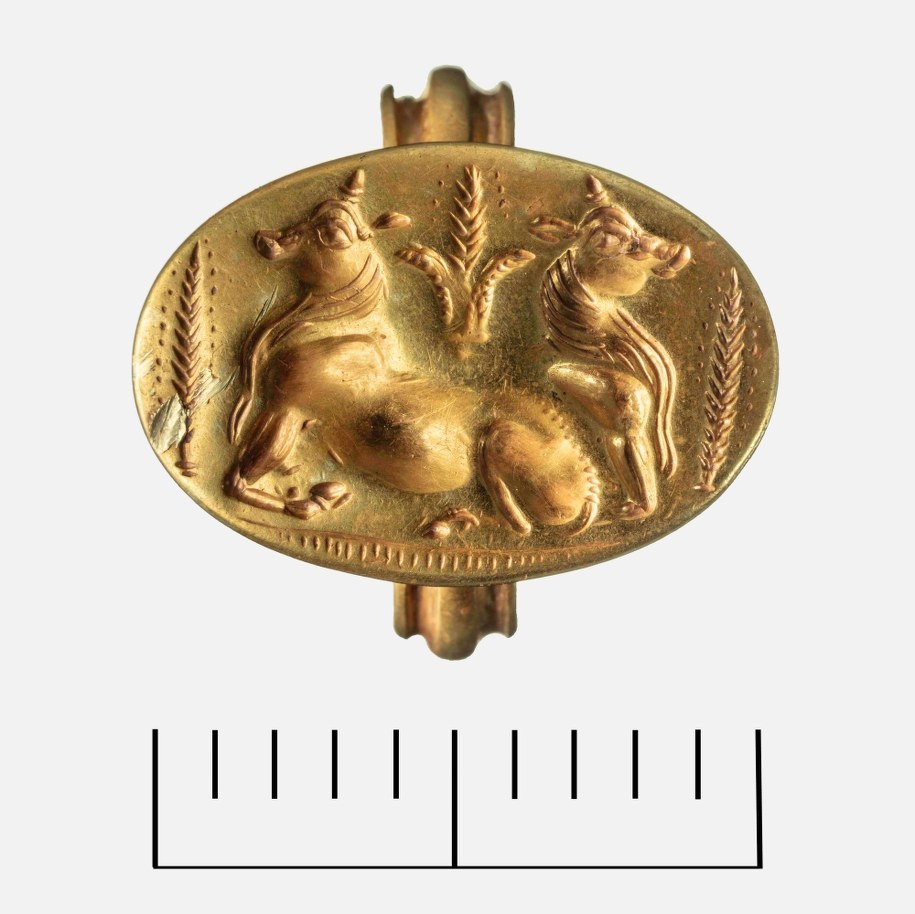 Byki i kłosy jęczmienia na złotym sygnecie /Greek Ministry of Culture /PAP/EPA