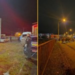 Byki jadące do Polski wypadły na ruchliwą drogę. Goniła je policja