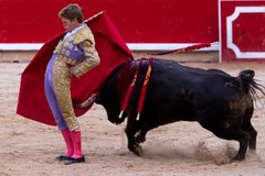 Byki wybiegły na ulice, a Hiszpanie świetują