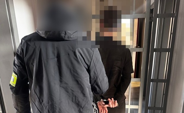 Był pobudzony, uszkodził ponad 40 aut. 17-latek aresztowany