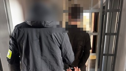 Był pobudzony, uszkodził ponad 40 aut. 17-latek aresztowany