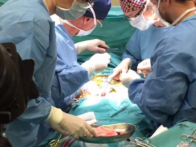 Był to pierwszy w Polsce łańcuchowy przeszczep nerek /Mariusz PIekarski /RMF FM