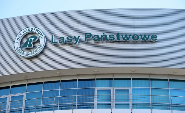 Byli dyrektorzy Lasów Państwowych zatrzymani przez CBA