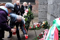 Byli więźniowie, w 71. rocznicę wyzwolenia KL Auschwitz