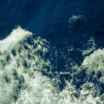 Były obecne przez cztery dekady. Teraz zniknęły