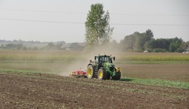 Były PGR trafił na sprzedaż. Na jego terenie znajdują się zabytki