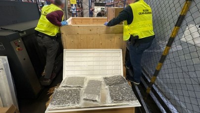 Były ukryte w panelach ledowych. Służby udaremniły ogromny przemyt