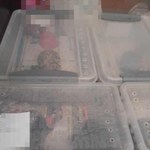Bytom: Węże w plastikowych pudełkach 