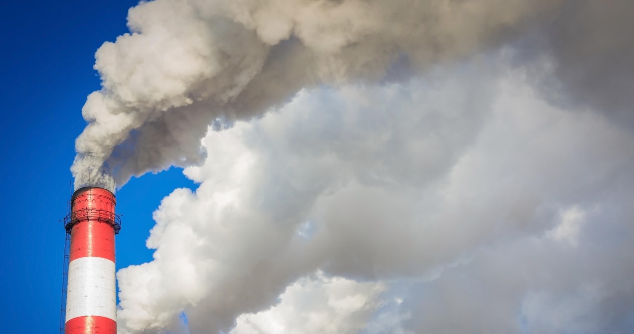 "Bzdurna polityka klimatyczna polegająca na jednoczesnym odchodzeniu od energetyki węglowej i jądrowej na rzecz tak zwanych Odnawialnych Źródeł Energii (OZE) nie tylko mogła pójść źle, ale musiała pójść źle" /123RF/PICSEL