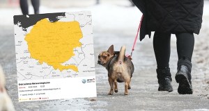 Cała Polska na żółto. IMGW wydał ostrzeżenia dla 16 województw