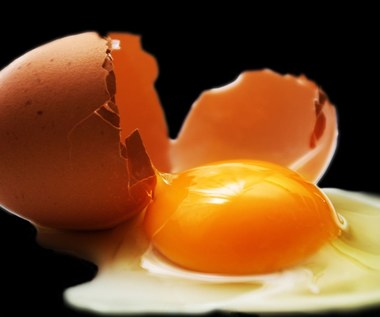 Cała prawda o cholesterolu w jajach
