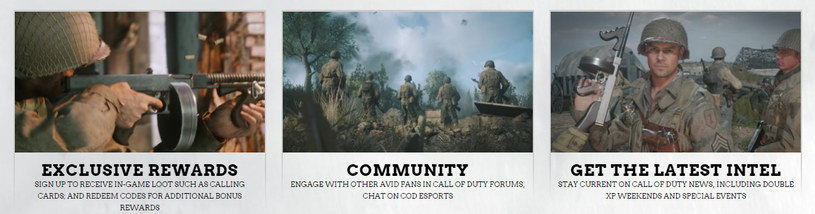 Call of Duty: WWII - prawdopodobnie grafiki z gry przypadkowo zamieszczone na stronie /materiały źródłowe